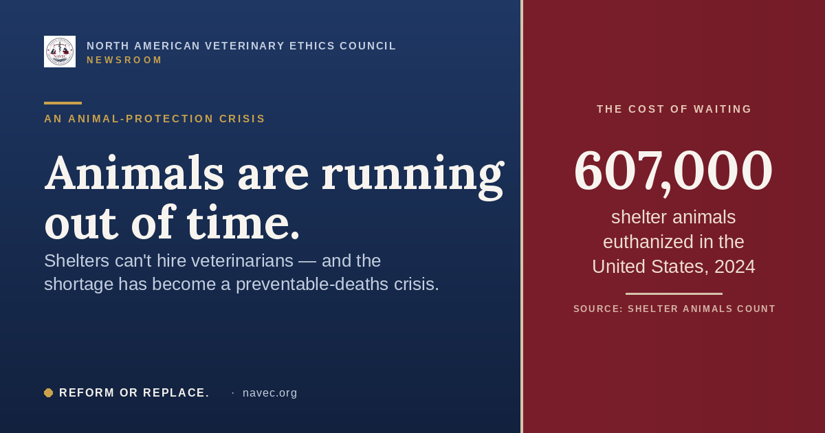 Animals are running out of time. 607,000 shelter animals were euthanized in the United States in 2024. NAVEC Newsroom.