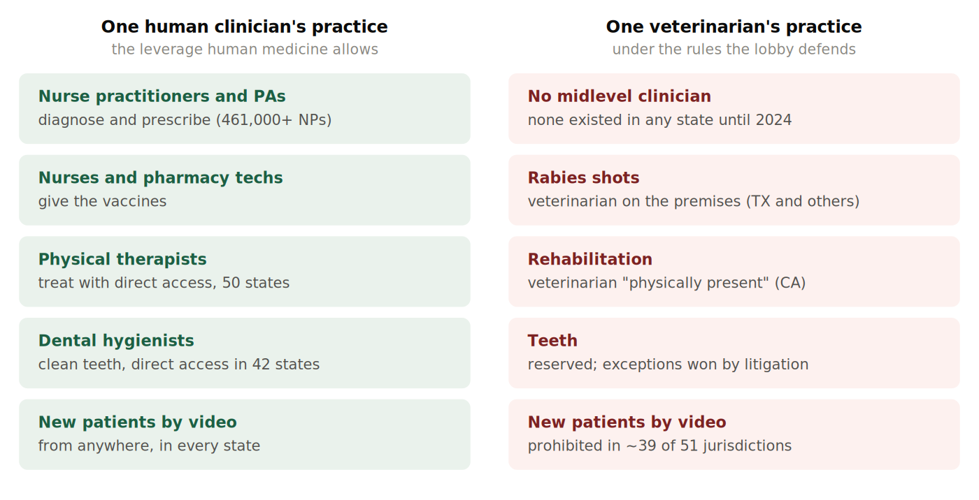 Chart: functions a human physician may delegate compared with the same functions reserved to the veterinarian by practice acts