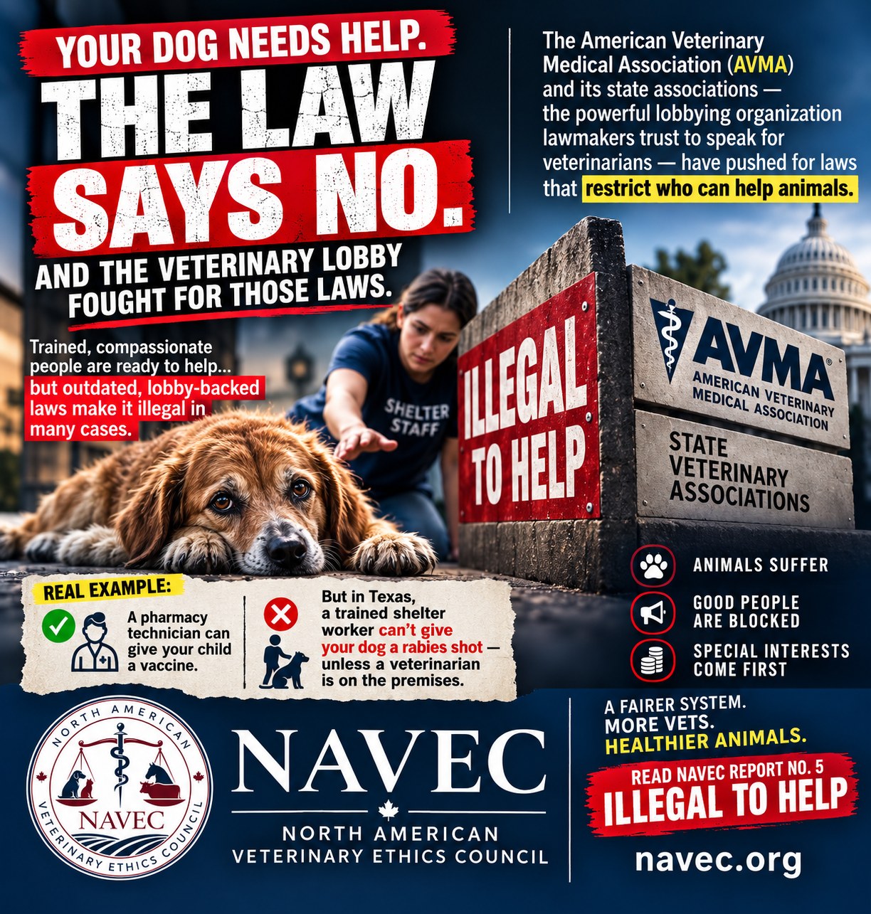 Infographic: Your dog needs help. The law says no. And the veterinary lobby fought for those laws. A shelter worker reaches toward a sick dog beside a sign reading Illegal to Help, stamped AVMA and State Veterinary Associations. A real example: a pharmacy technician can give your child a vaccine, but in Texas a trained shelter worker can’t give your dog a rabies shot unless a veterinarian is on the premises. Animals suffer. Good people are blocked. Special interests come first. Read NAVEC Report No. 5, Illegal to Help, at navec.org.